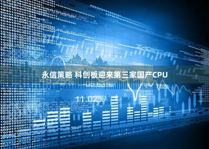 永信策略 科创板迎来第三家国产CPU