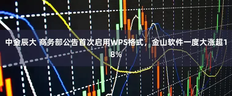 中金辰大 商务部公告首次启用WPS格式，金山软件一度大涨超18%